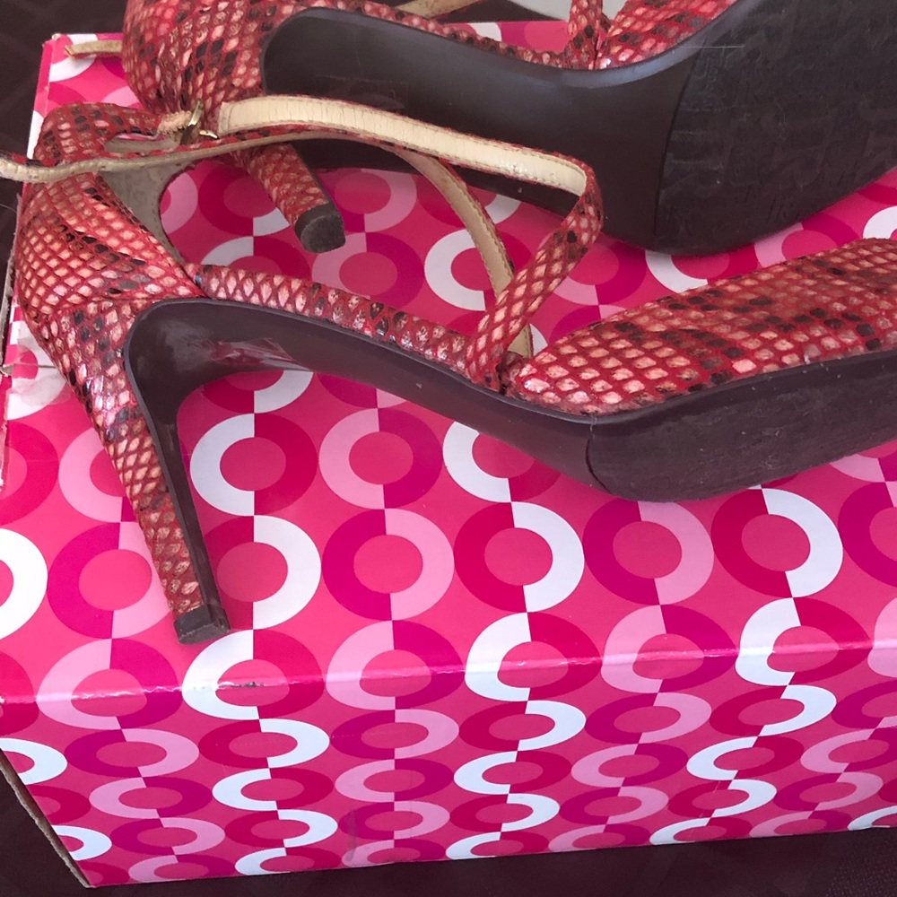 Black red snake skin cute heels. Size 8 1/2 Med, J Renee